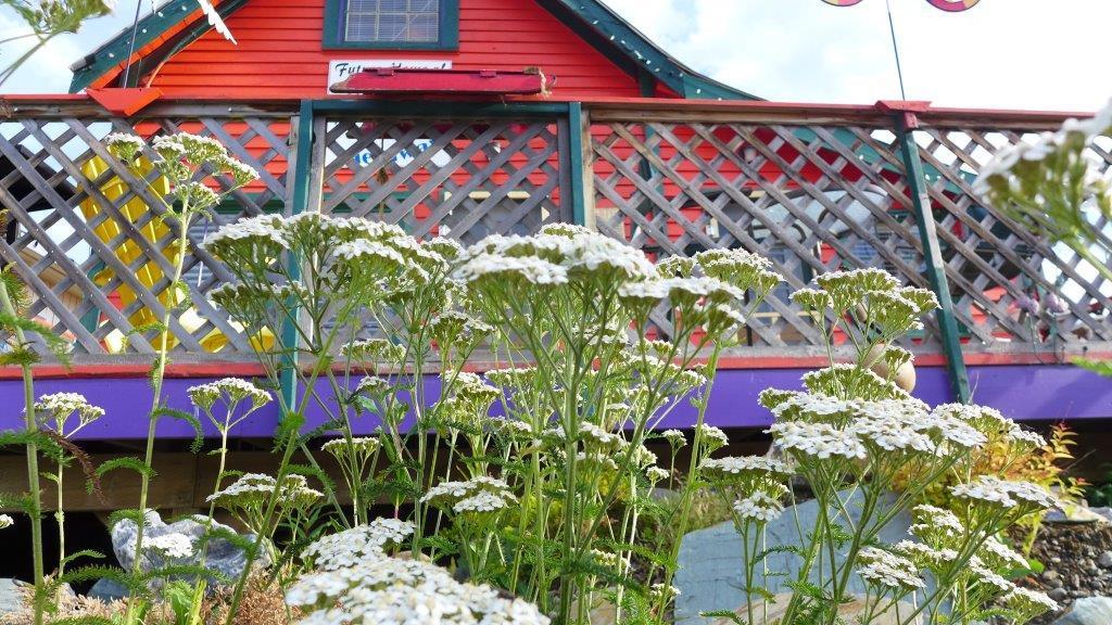 Mountain Thyme Getaway 호텔 Barkerville 외부 사진